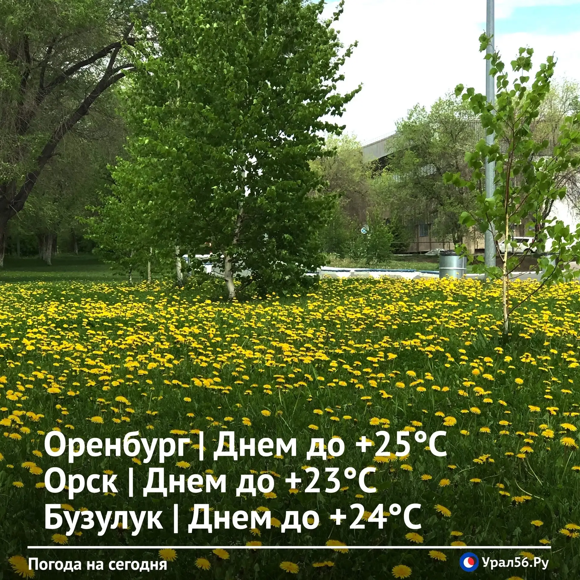 Доброе утро ☀️
