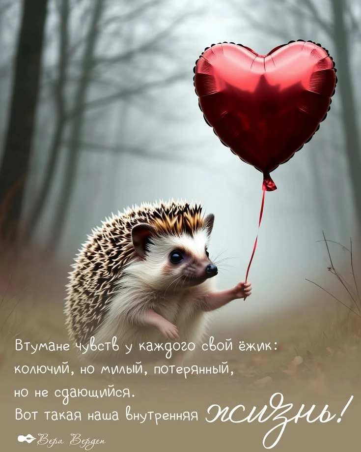 https://max.ru/se13912156_biz