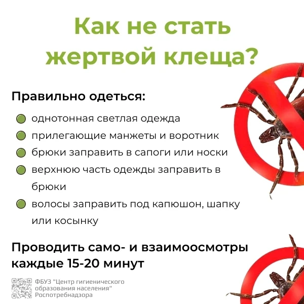 Как не стать жертвой клеща?