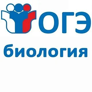 16 июня 2026 года 17  выпускников 9 классов  сдают  экзамен по выбору- информатику, 3 выпускника экз