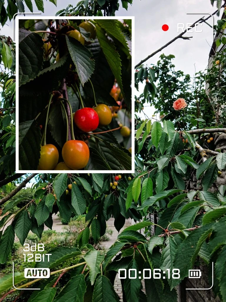 ☀️Лето — время свободы, ярких впечатлений и новых открытий. И для студента оно — особенное: длинные 