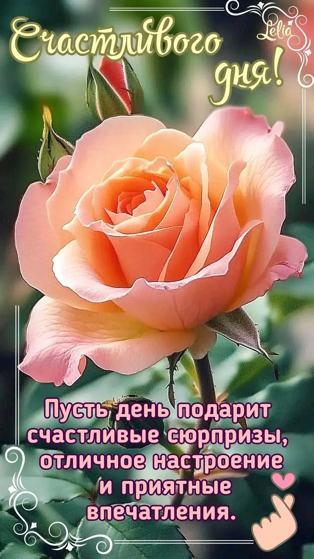 💖 В нашем канале найдется открытка для всех ! Листайте ленту