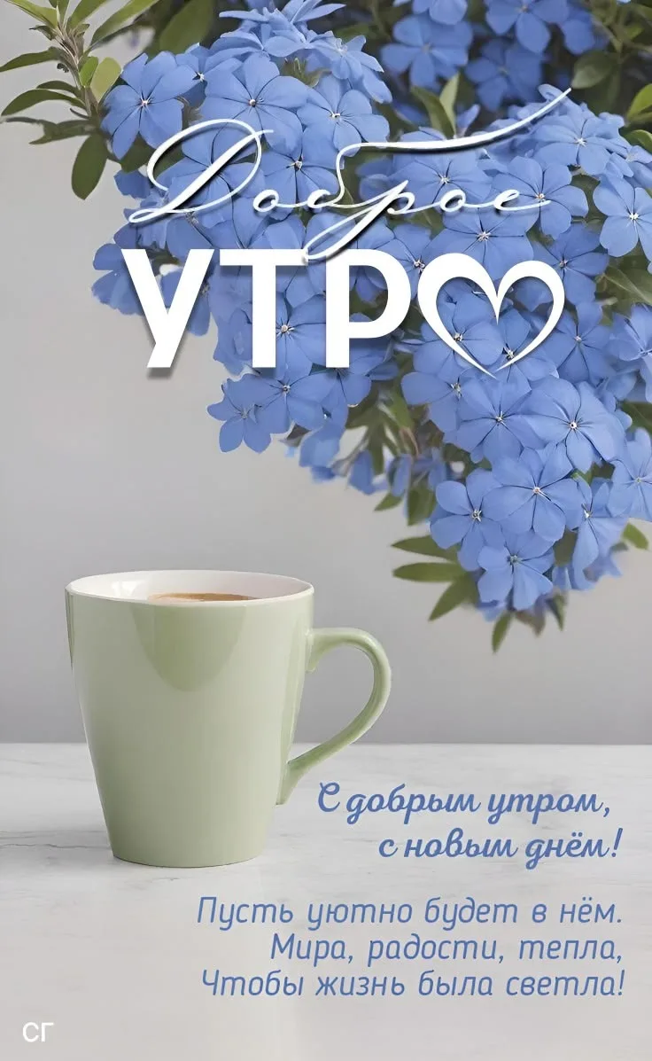 Подпишись 👇