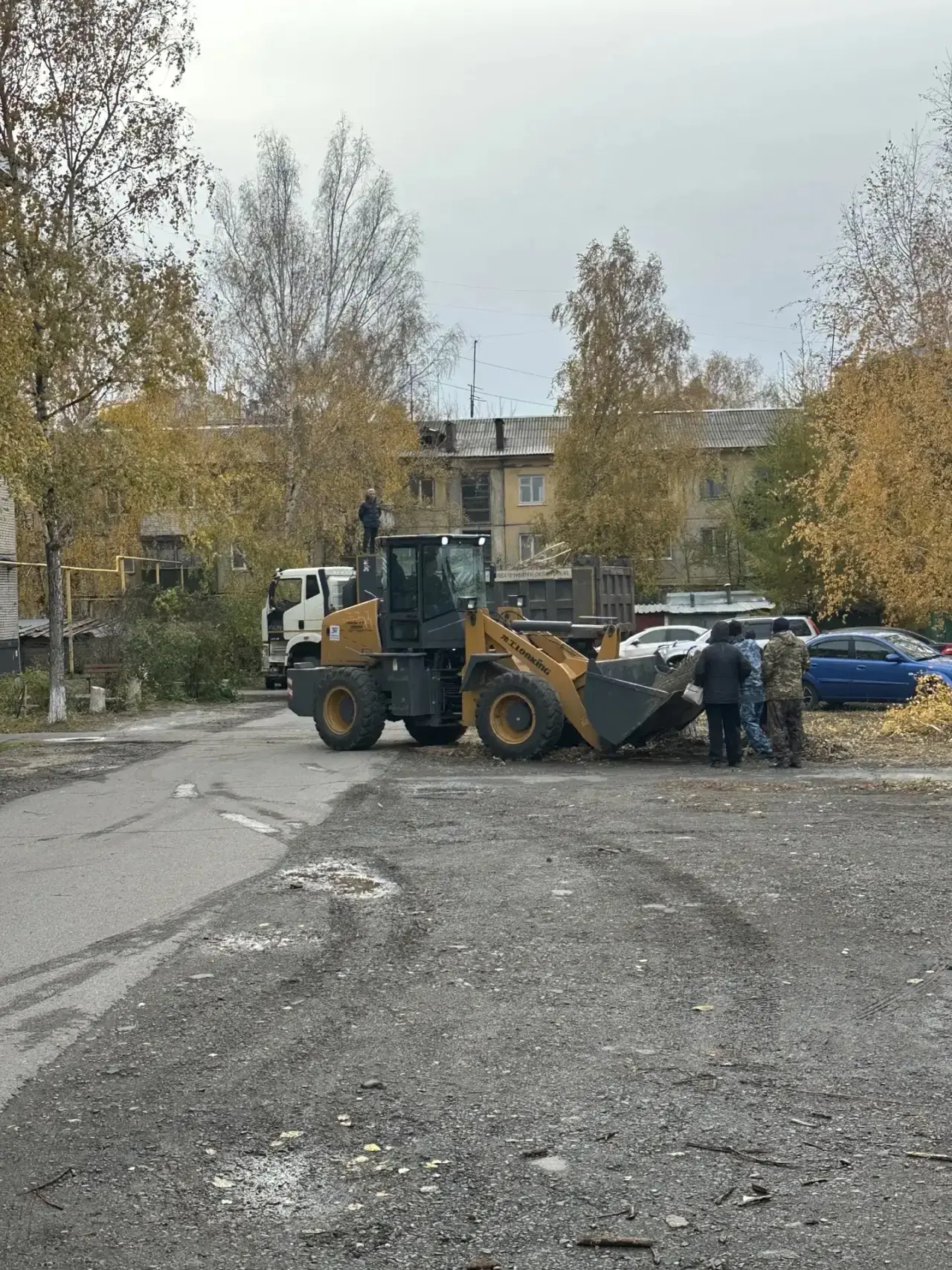 Проводится вывоз спиленных деревьев с придомовой территории