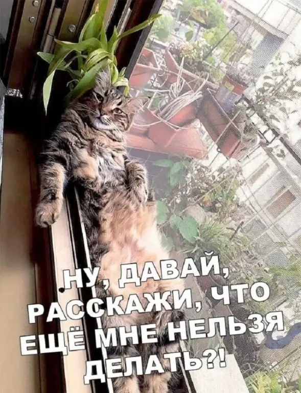 Улыбаемся, хорошим настроением заряжаемся!  😊