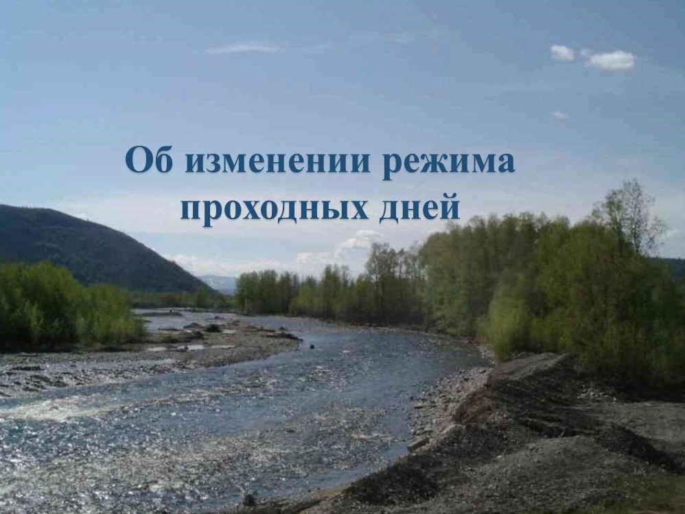 Для прохода лососевых на нерестилища в Магаданской области изменен режим «проходных дней»