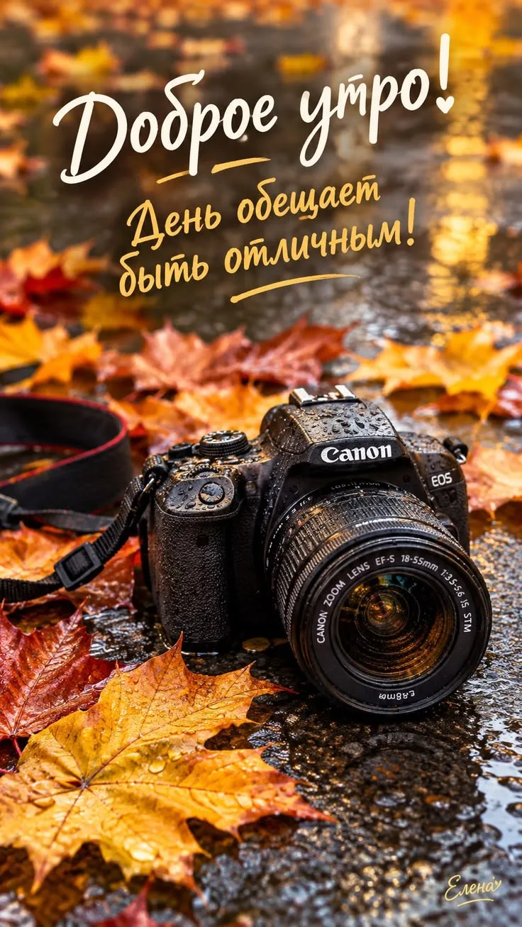 #доброеутро