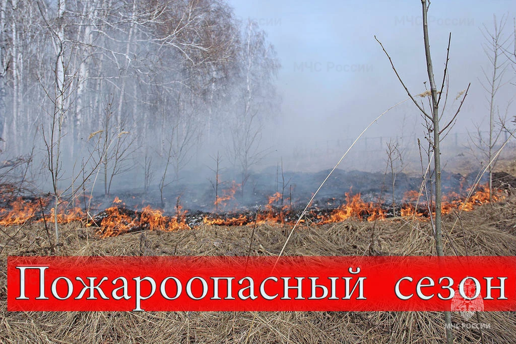 С 6 апреля 2026 года в Калужской области, согласно постановлению правительства региона ...