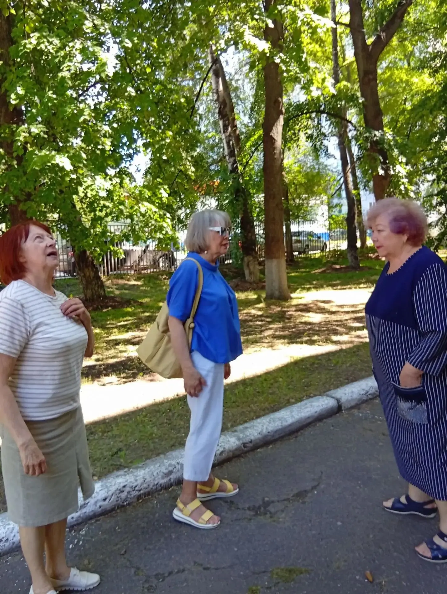 «Клуб деловых старух»: полезные дикоросы и творческое вдохновение