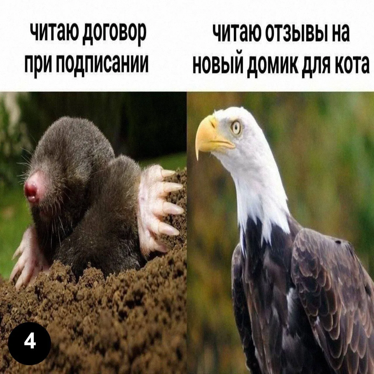Ставь лайк! ❤️