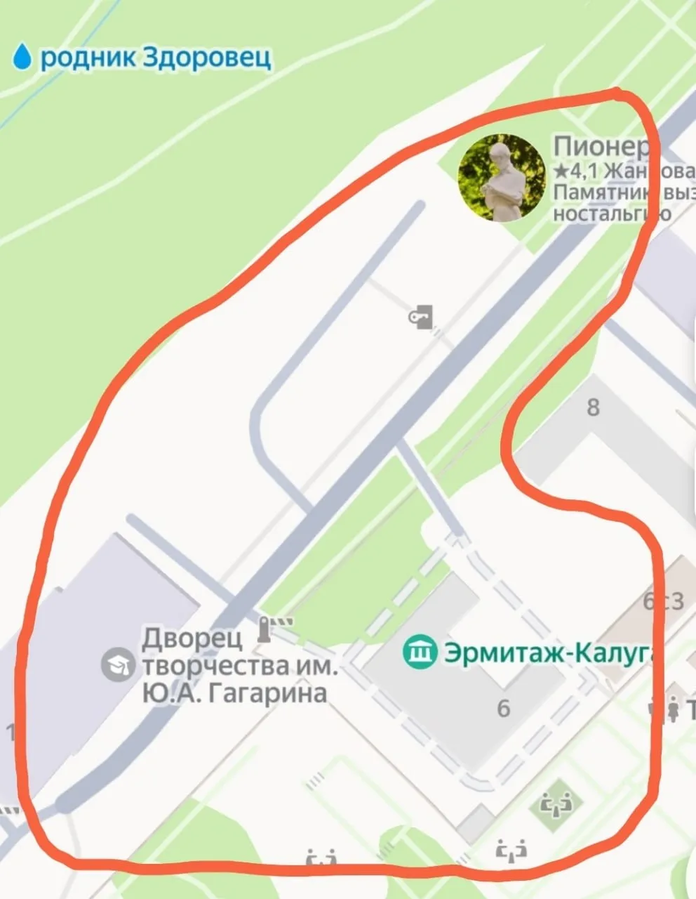 Стая агрессивных собак со стройки «Эрмитаж-Калуга» кошмарит прохожих