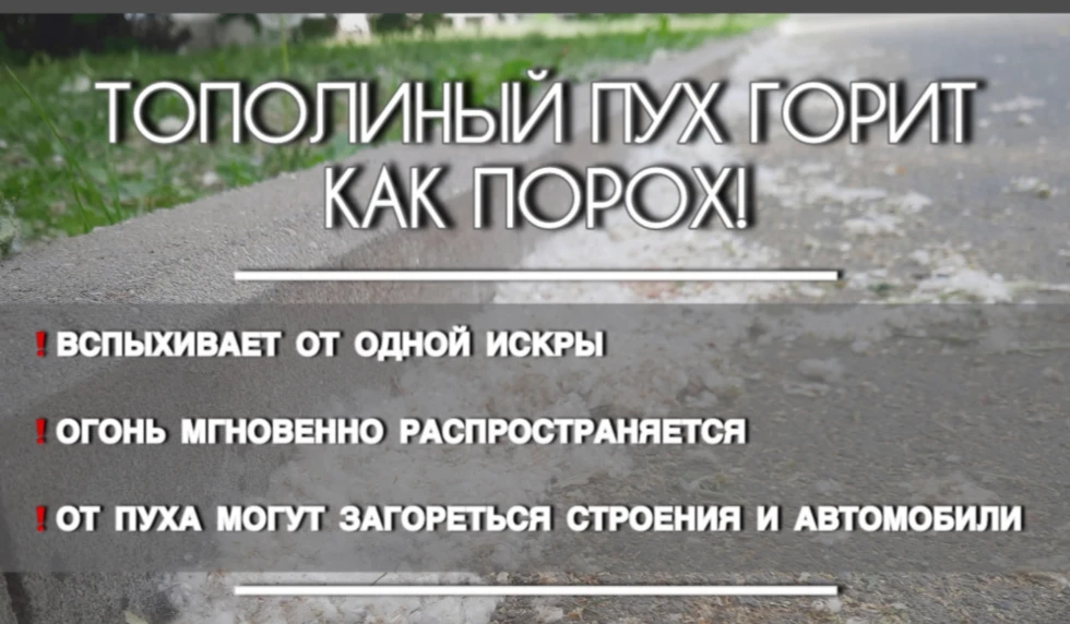 Тополиный пух 😶‍🌫️ - источник пожарной опасности 🔥!

Ежегодно в летнее время тополиный пух станов