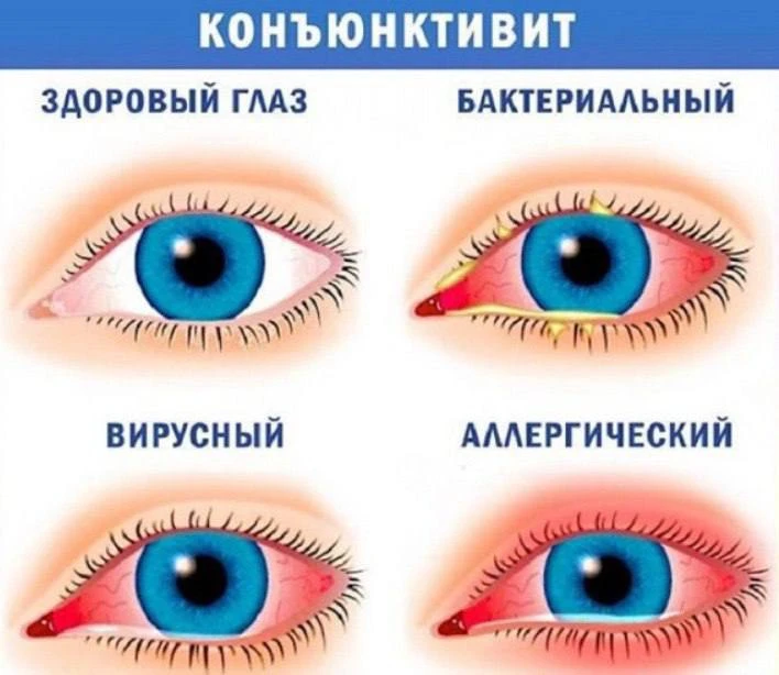 📆 Еженедельная авторская колонка;