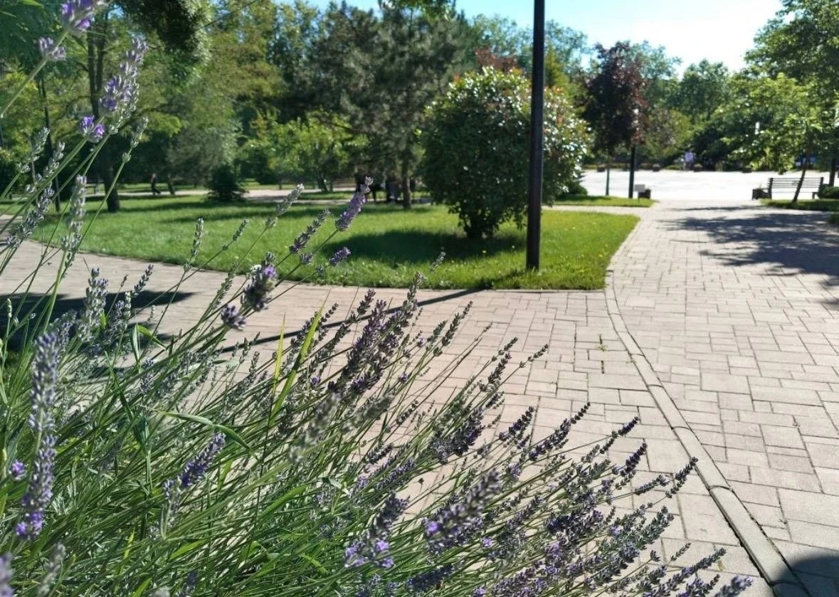 В воздухе Новороссийска не нашли загрязнений
