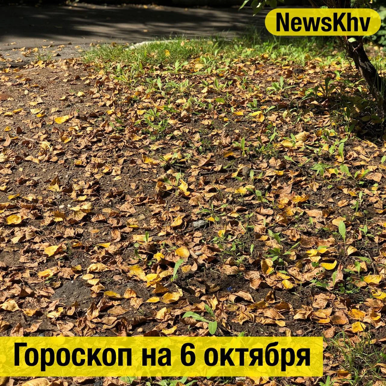 ♈️ Овен