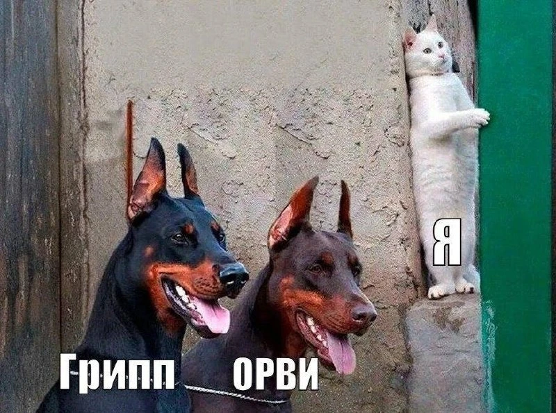 Более 15 тысяч человек заболели ОРВИ за неделю в Нижегородской области