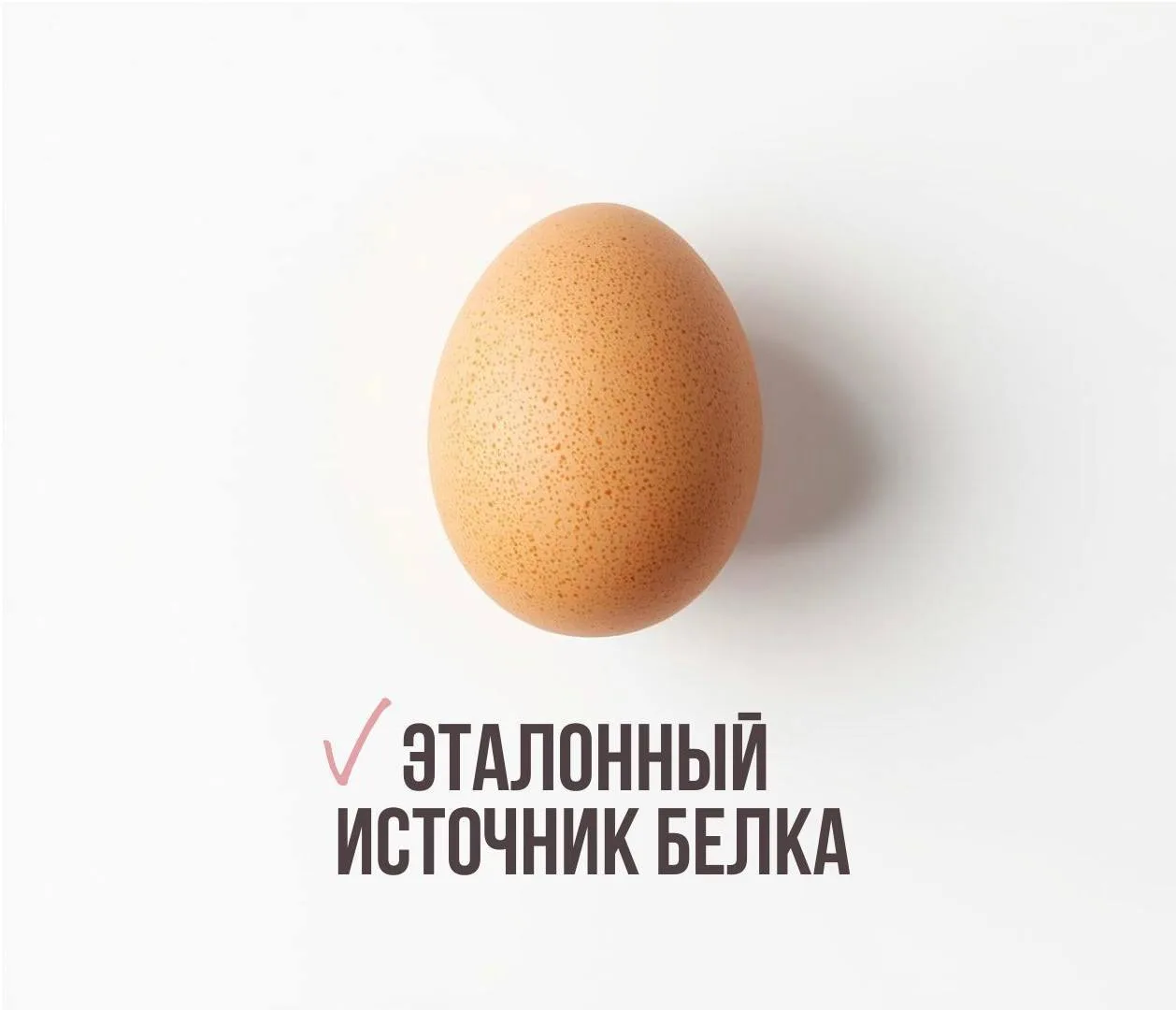 КУРИНОЕ ЯЙЦО 🥚 = ЭТАЛОННЫЙ БЕЛОК  Близится Пасха. На арену выходит самый противоречивый продукт — ЯЙ