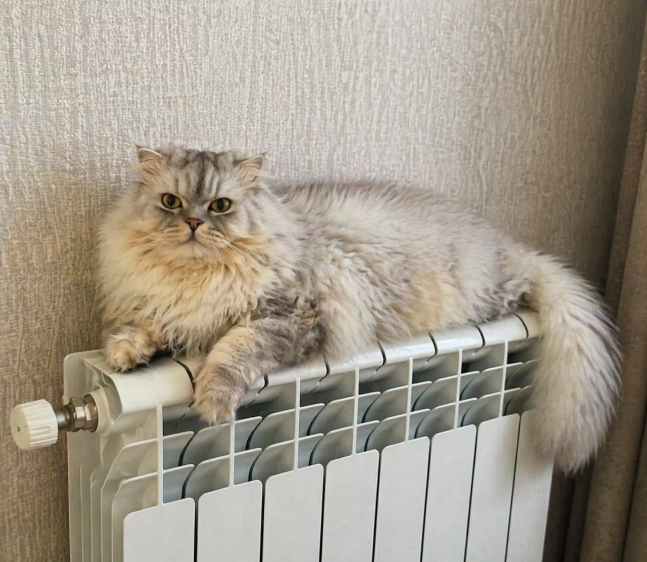 ♨️ Отопление в Татарстане пока не отключат  Власти решили продлить отопительный сезон как минимум до