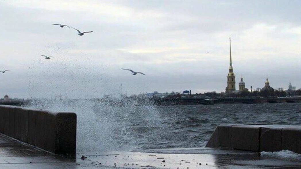 В начале следующей недели в Петербурге ожидаются порывы ветра до 17 м/с, сообщают синоп...