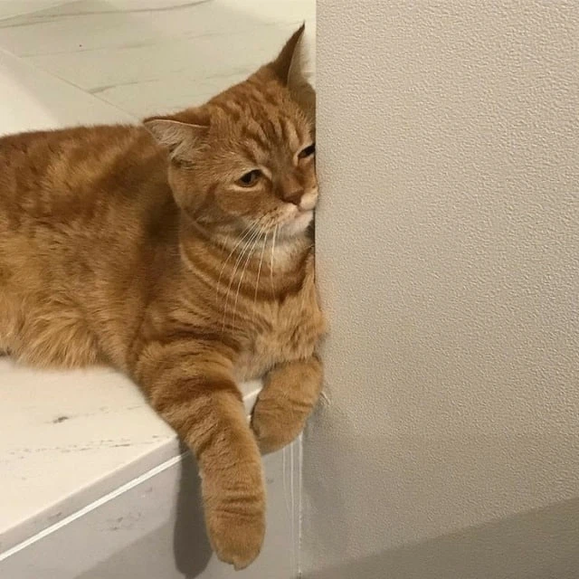 😭 мой рабочий настрой перед началом учебного года