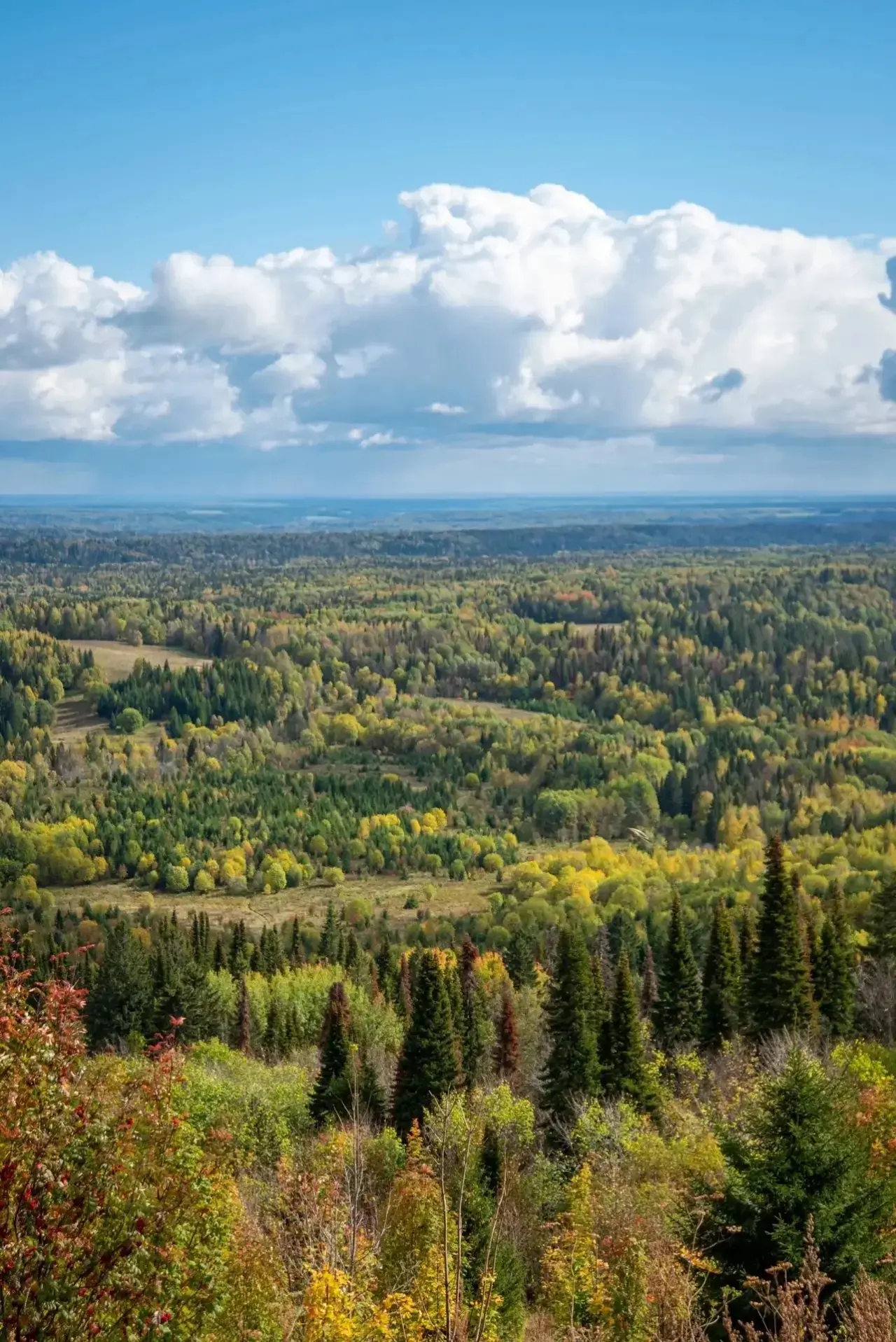 Белогорье