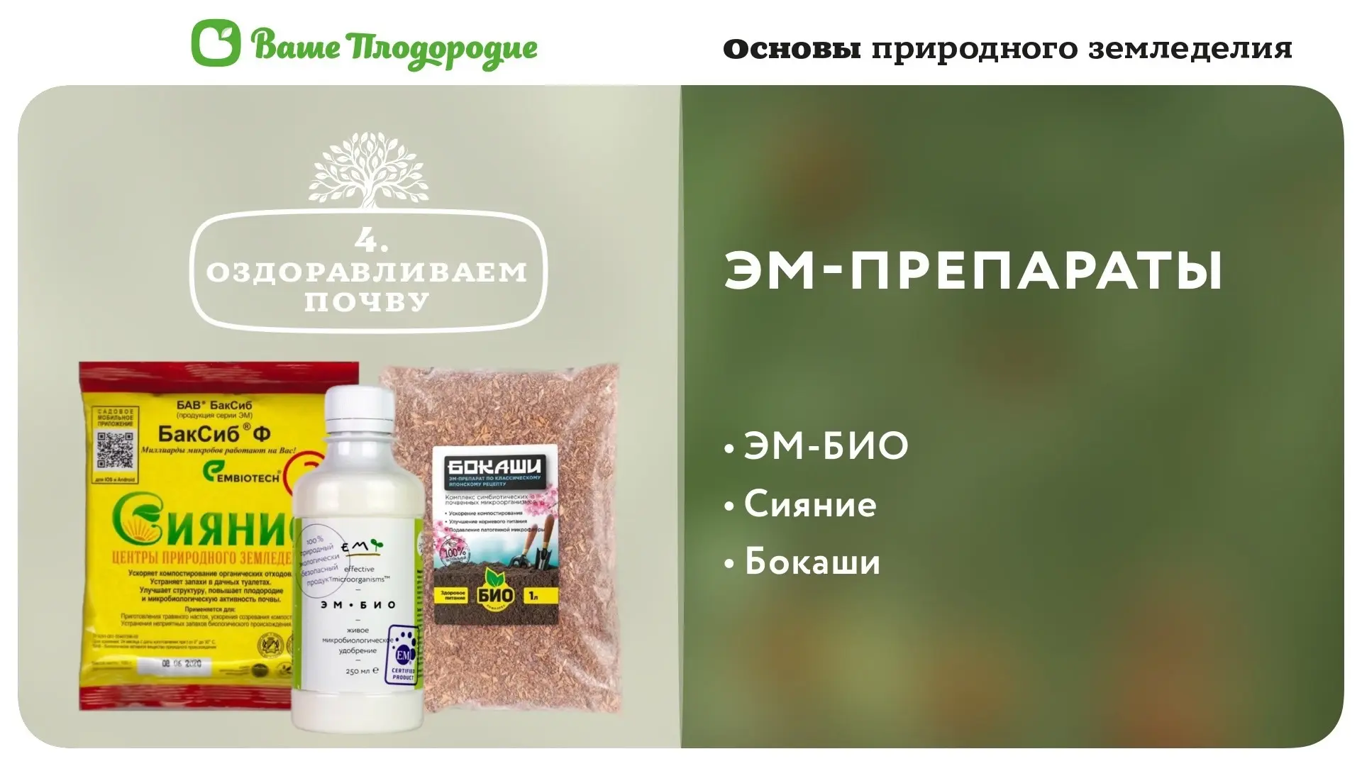 🌱 ВЕСЕННИЙ ПЛАН: как включить огород на полную мощность.