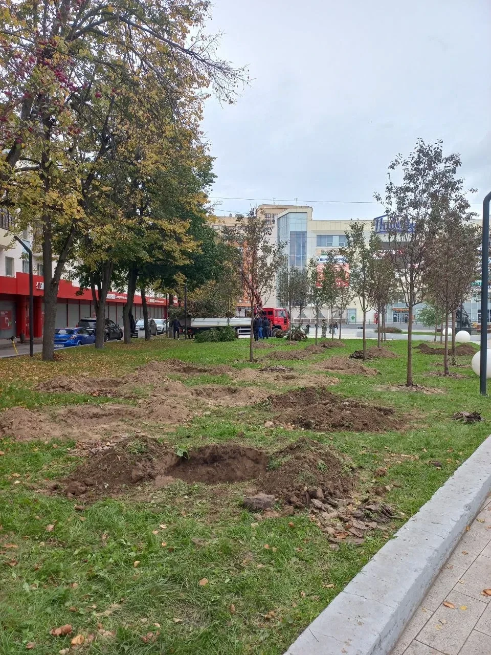 Загадочный демонтаж на главной площади: 5 октября там выкопали деревья, высаженные сраз...