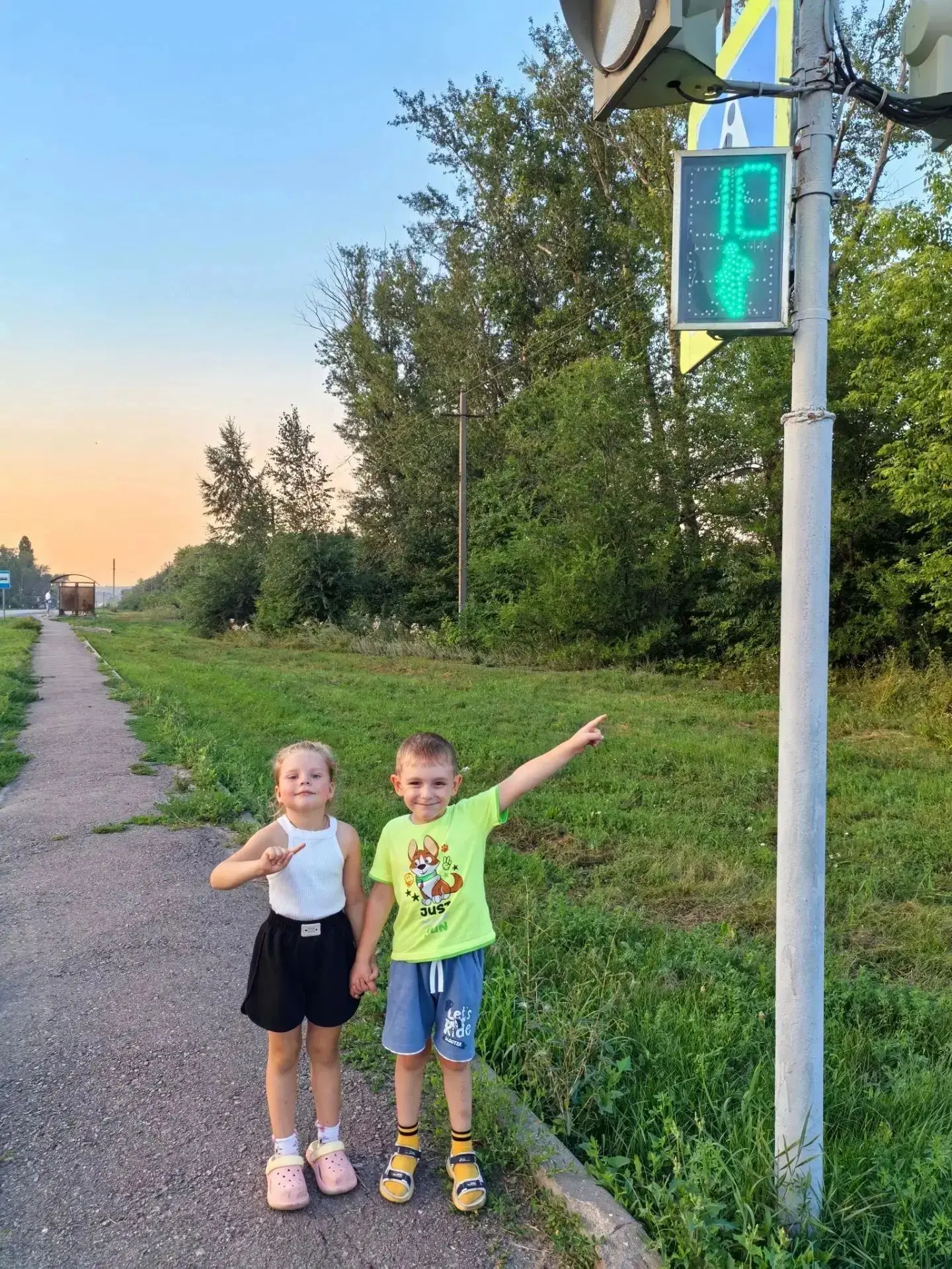 Светофор — наш главный помощник на дороге! 🚦