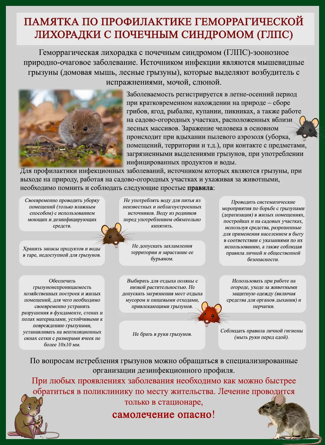 Медиа публикации