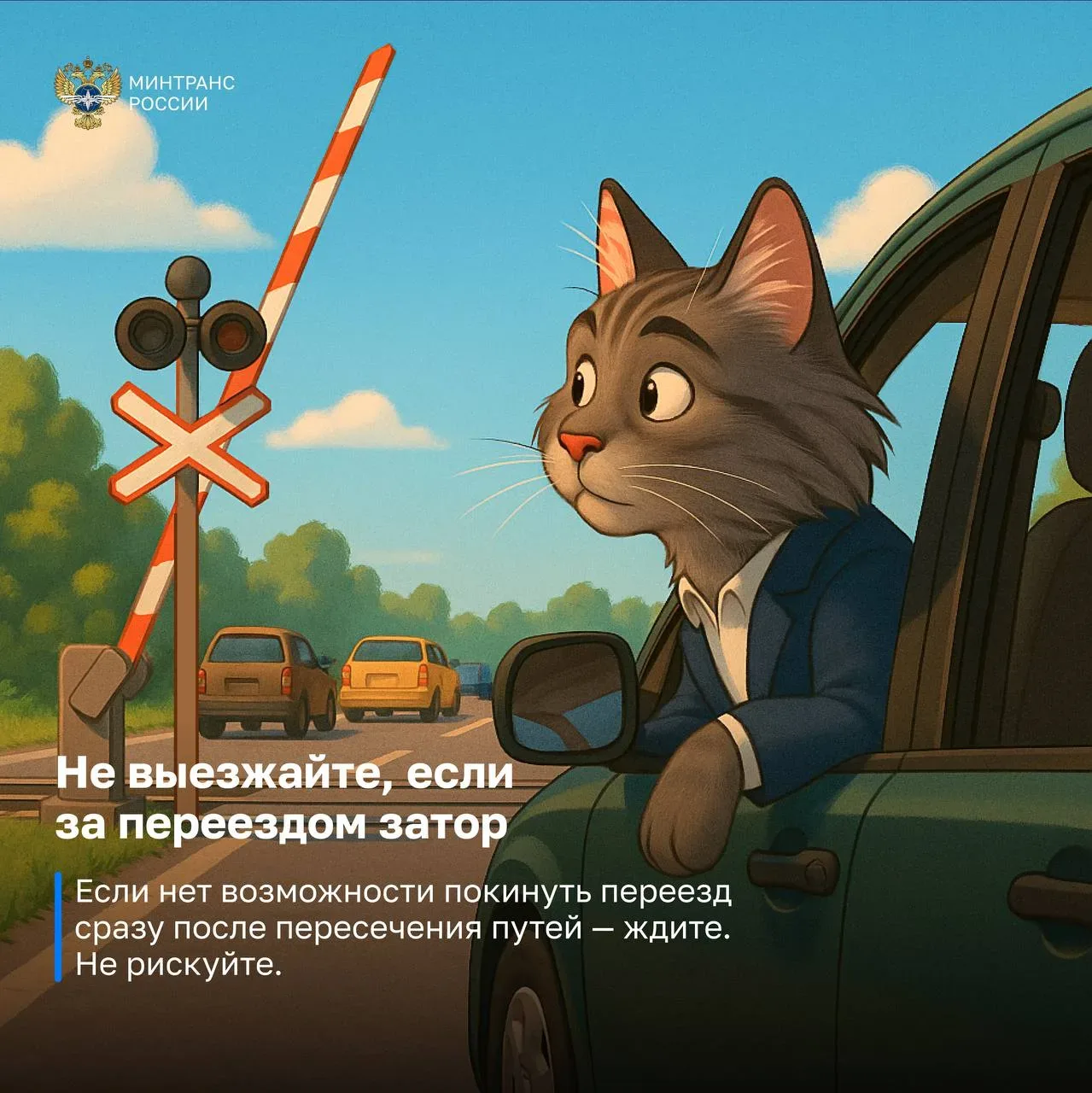 😸 Минтранс России и кот- знаток правил безопасности на железной дороге, предупреждают!

Внимание, р