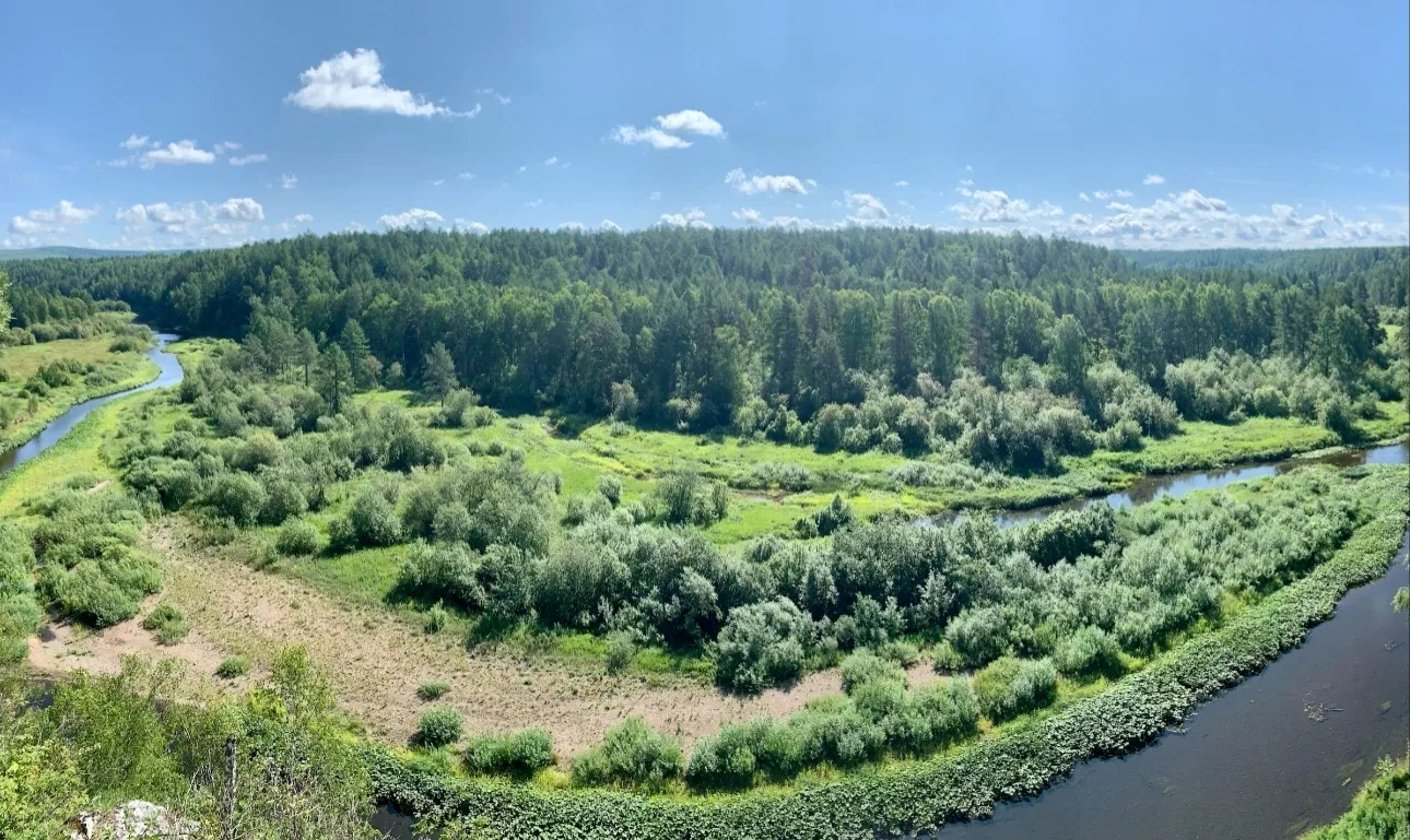 #Жизнь_парка