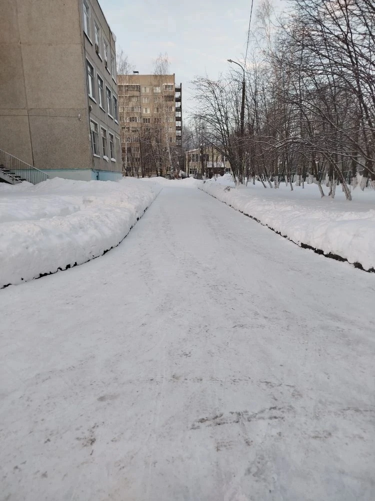 По поручению главы города Чебоксары Станислава Трофимова на ежедневном контроле находится вопрос бла