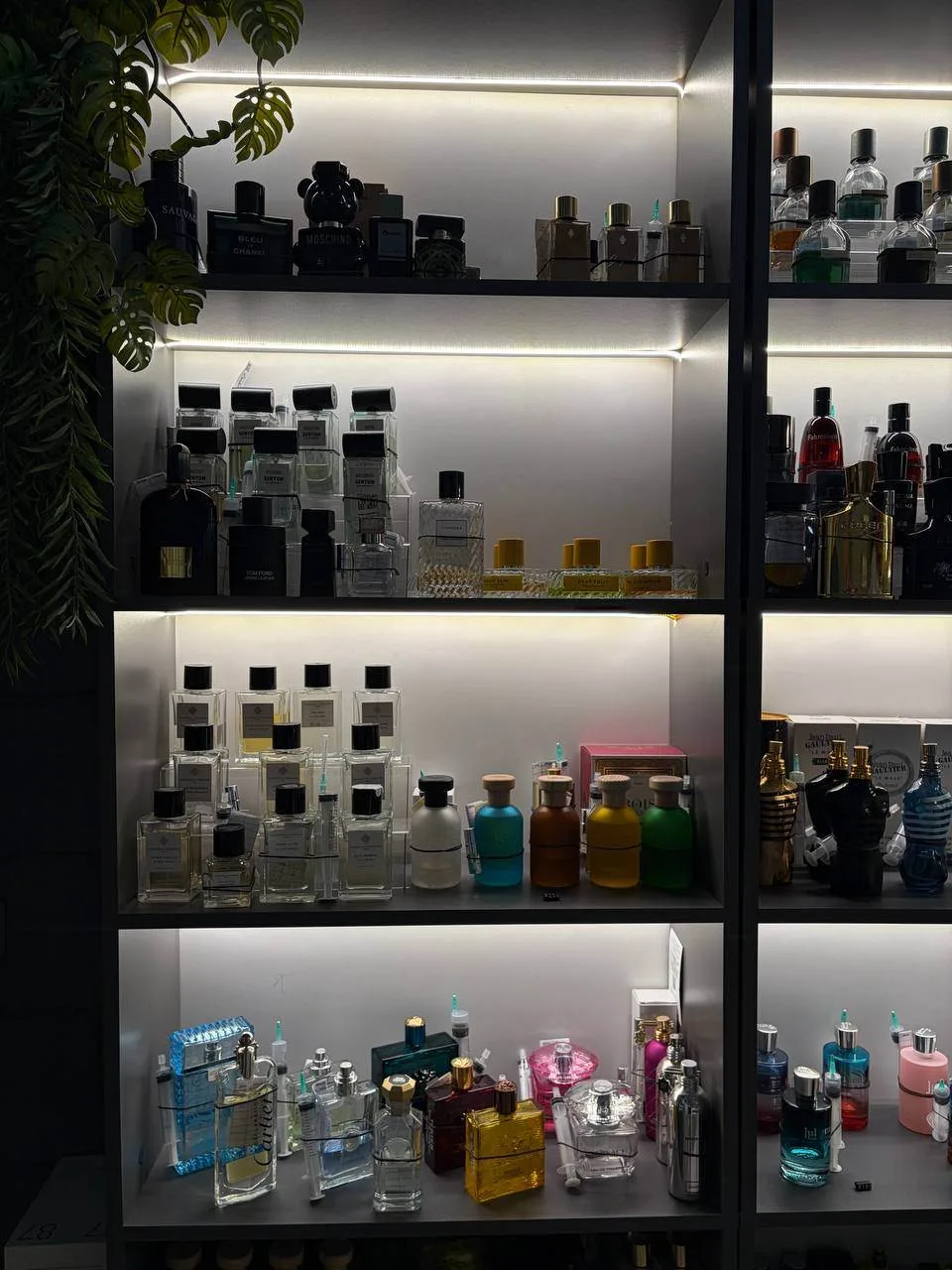🤩 Обзор на парфюмерный бар Letiparfum (​Зенцова, 73)