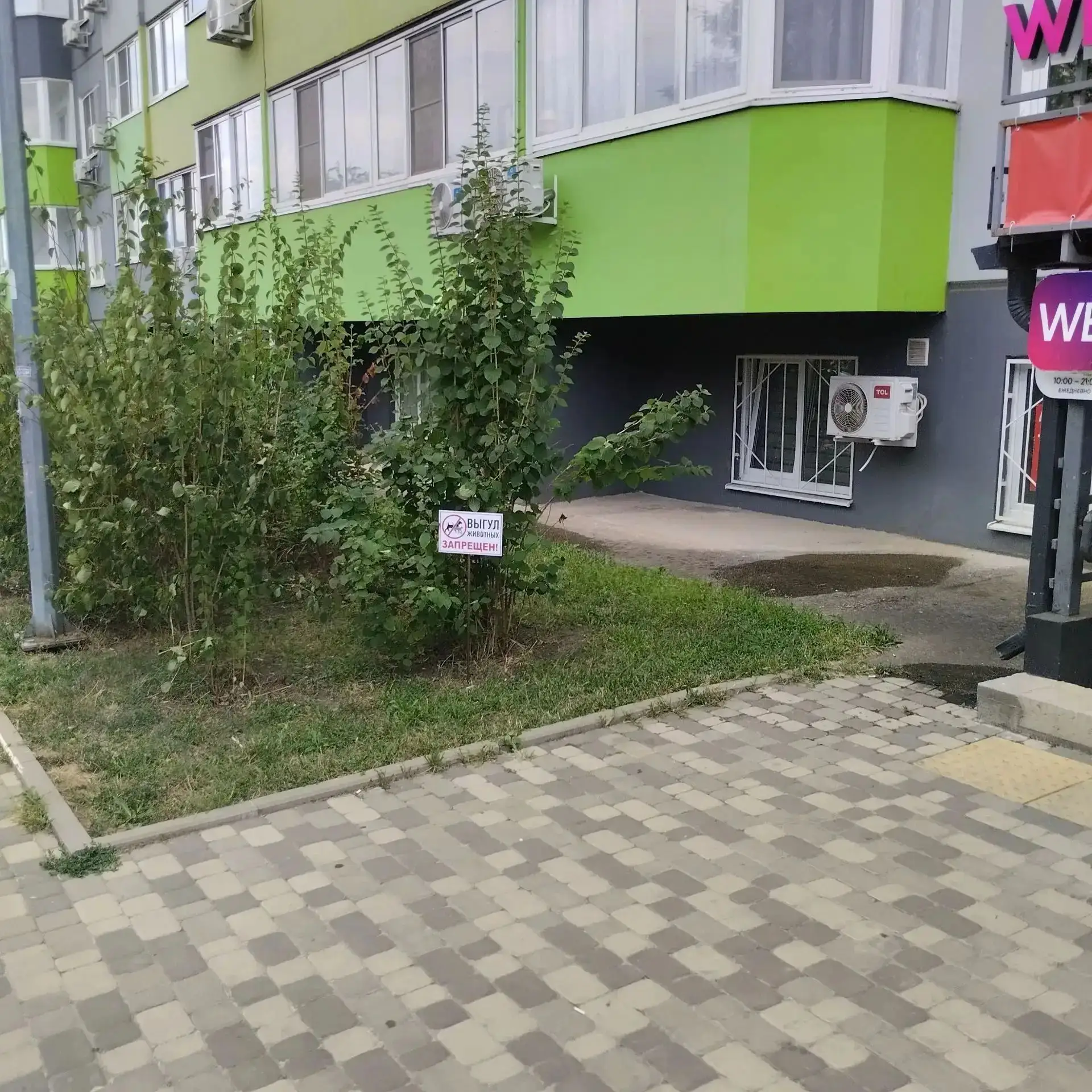 🏡 Чистота во дворе — забота всех жителей!