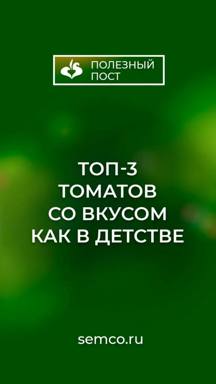 Топ-3 томатов как в детстве.  Друзья, а вы помните тот самый вкус томатов из детства? Когда срываешь