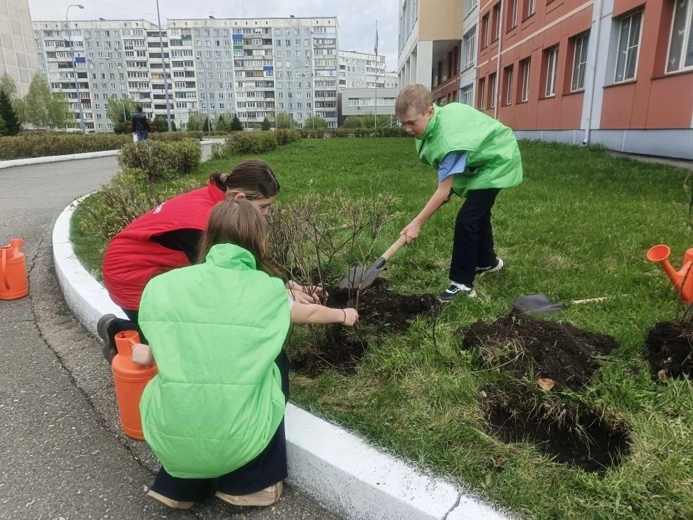 🌿 «Сад Памяти» в школе №110: живые ростки благодарности 🌳Ученики 5-х классов присоединились к всерос