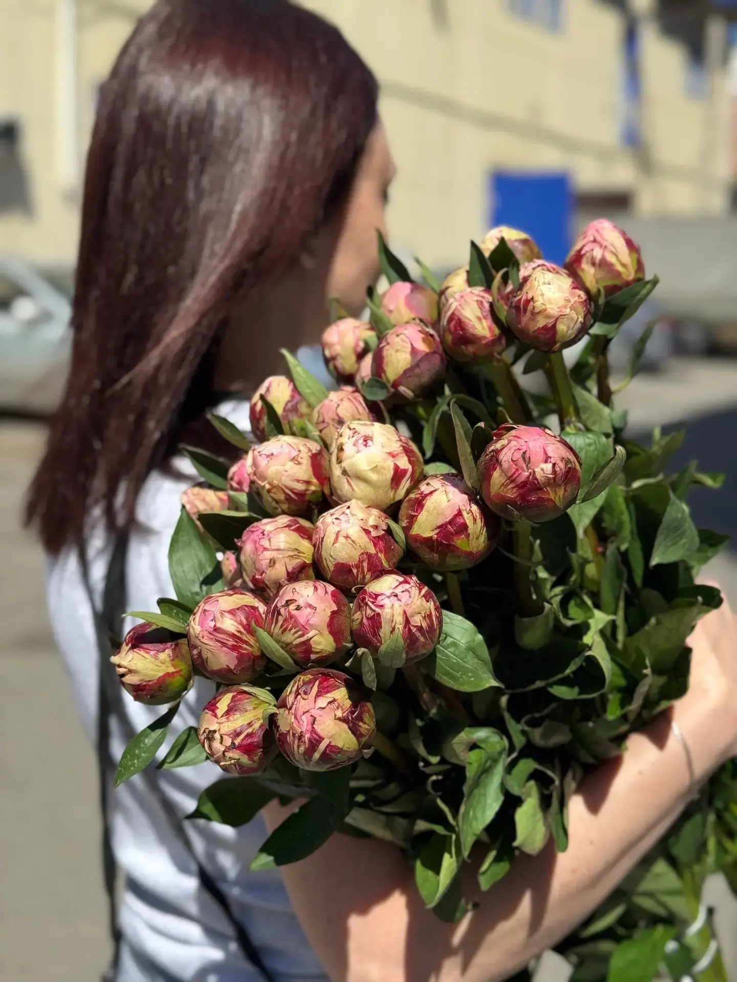 Получили сегодня пионы в нежном розовом оттенке 😍

Количество ограничено 

Для заказа пишите в личн