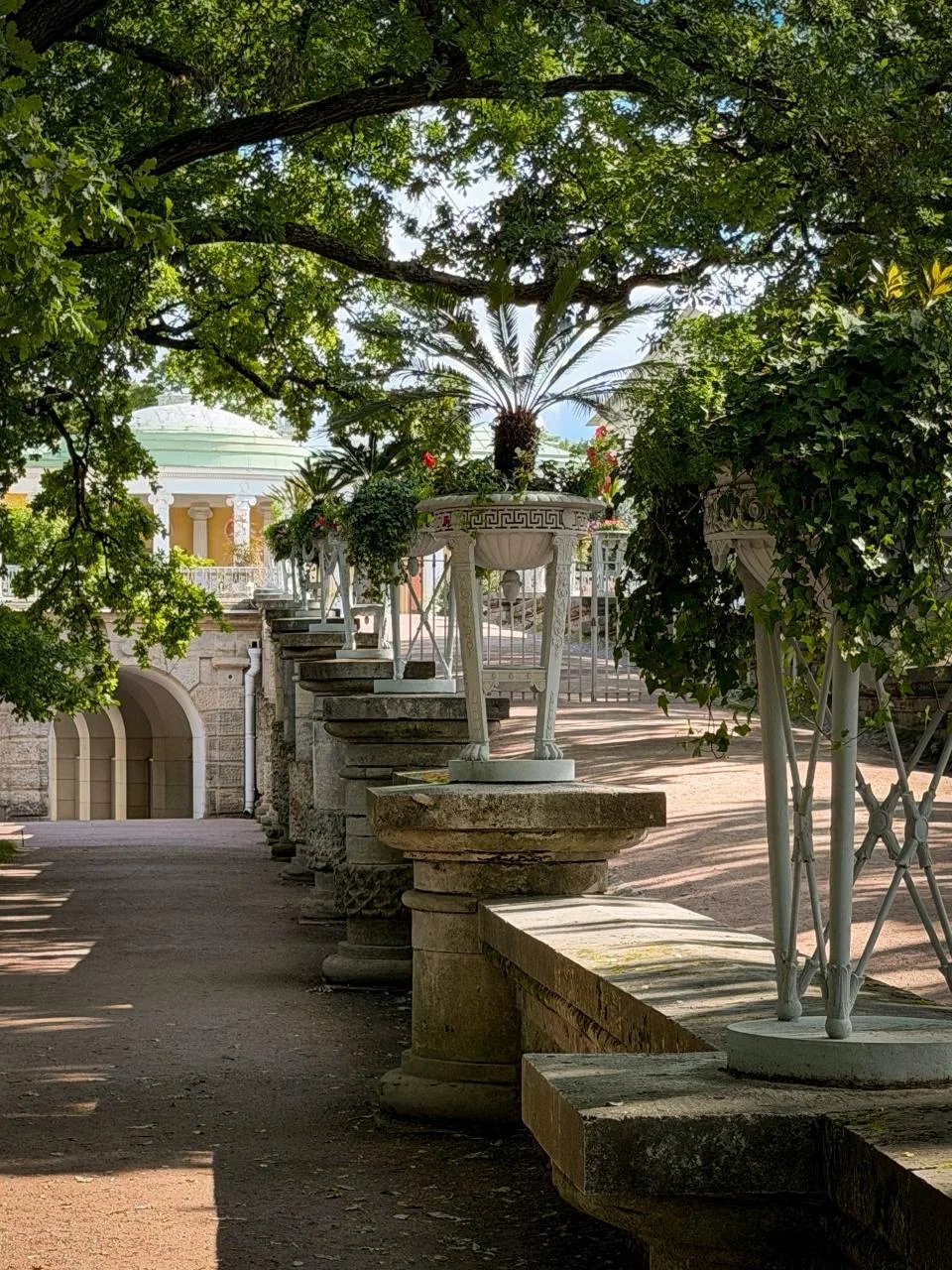 🌺 Екатерининский парк. Палитра последней недели июля. 

 
📷 Фото: ГМЗ «Царское Село», Екатерина Но