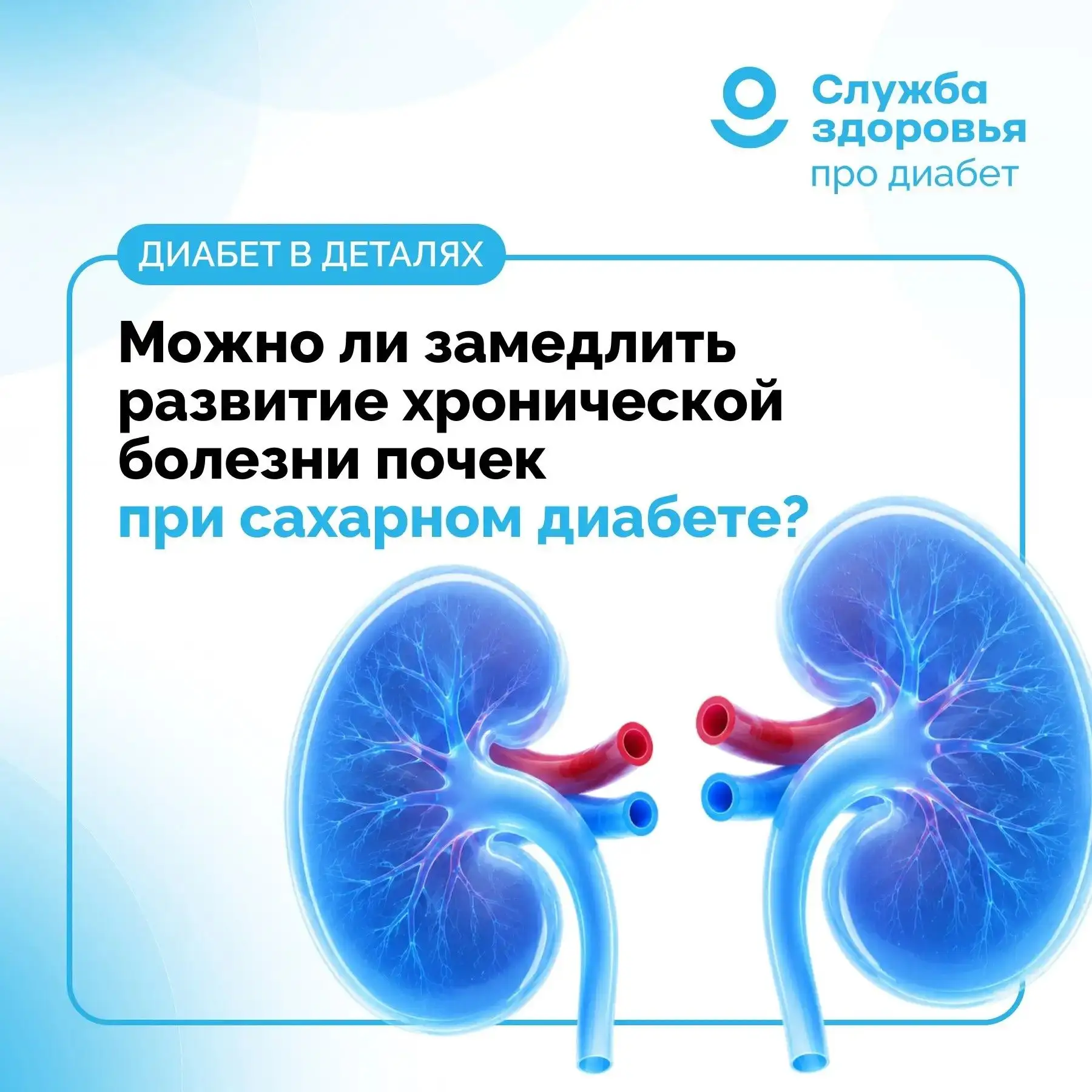 МОЖНО ЛИ ЗАМЕДЛИТЬ РАЗВИТИЕ ХРОНИЧЕСКОЙ БОЛЕЗНИ ПОЧЕК ПРИ САХАРНОМ ДИАБЕТЕ?
