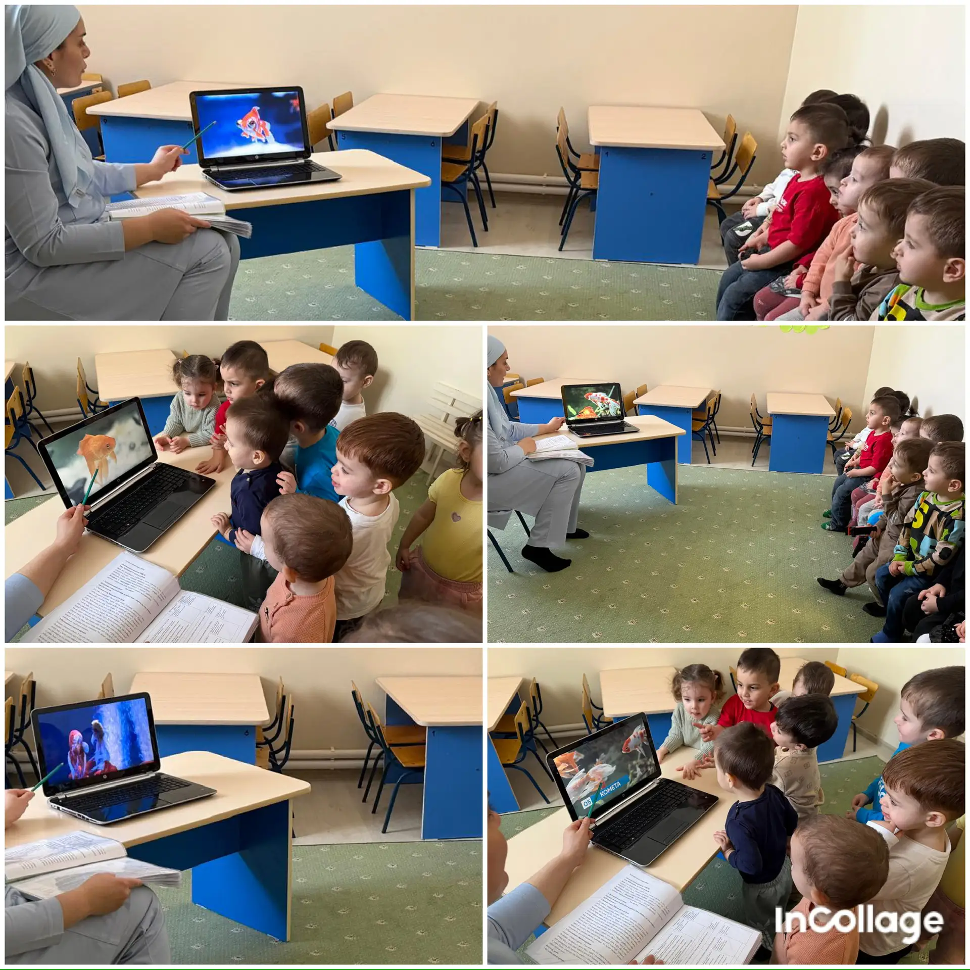 Познавательное развитие (ФЦКМ) Тема: Наблюдение за золотой рыбкой. Цель: Дать представл...