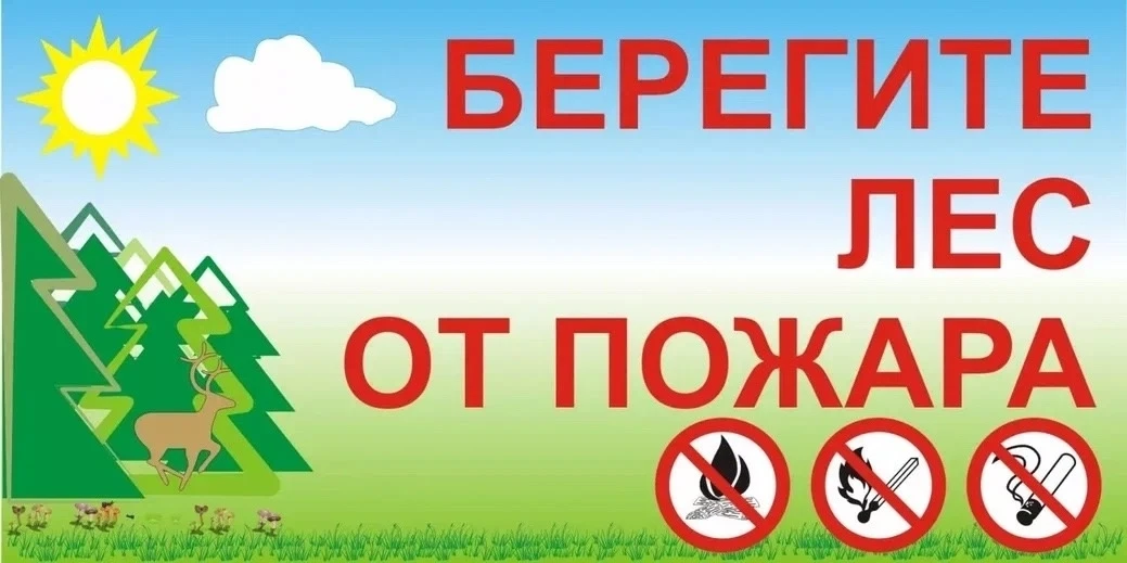 Бережное отношение к природе. Защита лесов от пожара 
 
Велико и разнообразно значение леса, как в ж