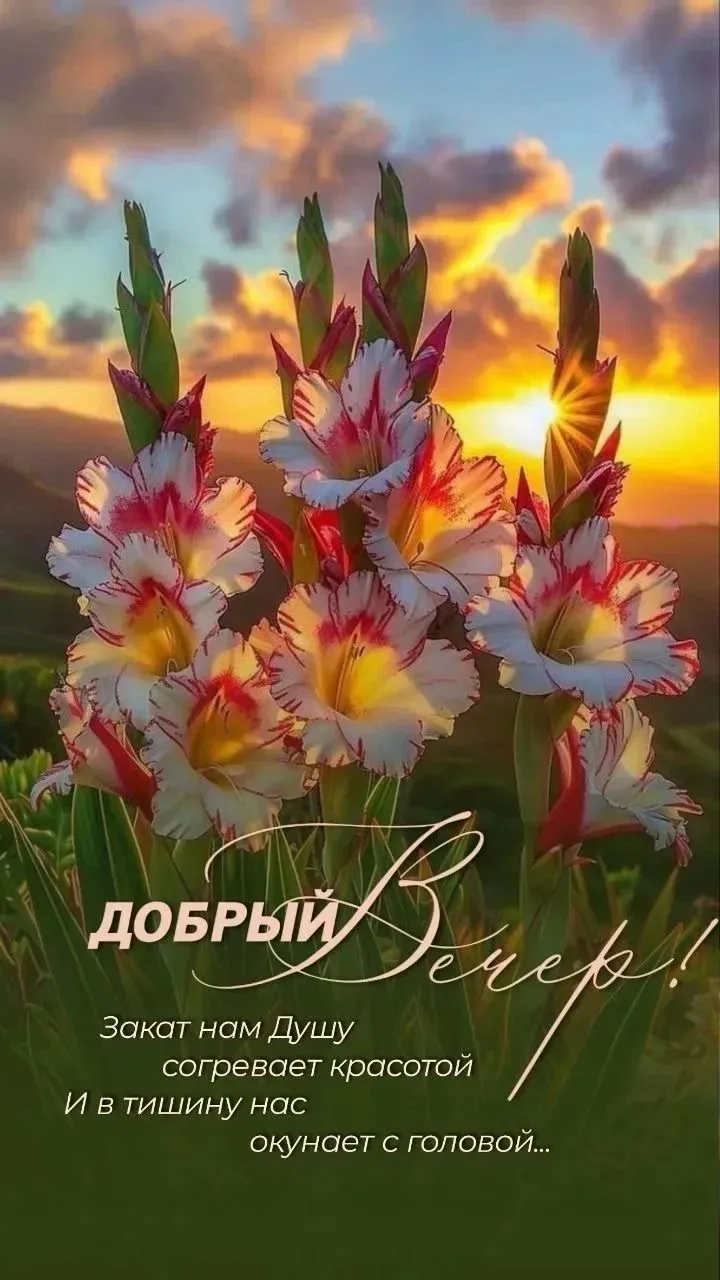 Спасибо за реакции 👍❤️🔥