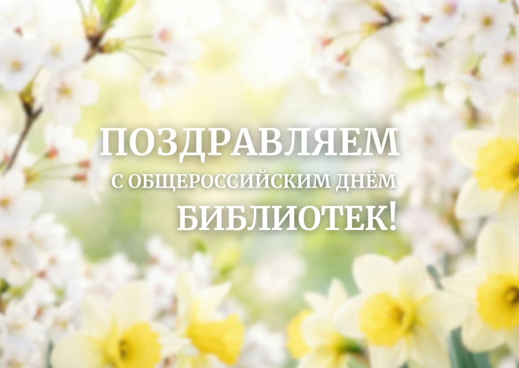 Дорогие коллеги! С нашим праздником — Общероссийским днём библиотек! 📚