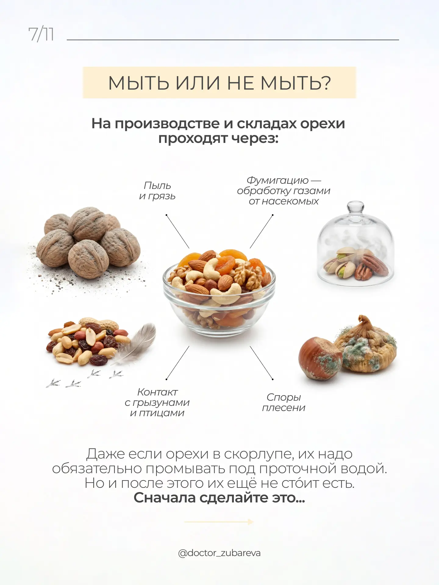 ОРЕХИ: ЯД ИЛИ СУПЕРФУД?  С одной стороны — это источник полезных жиров, микроэлементов, антиоксидант