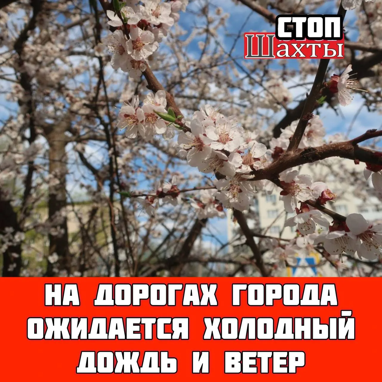 ГИБДД Ростовской области призывает всех водителей быть особенно внимательными на дорогах из-за ухудш