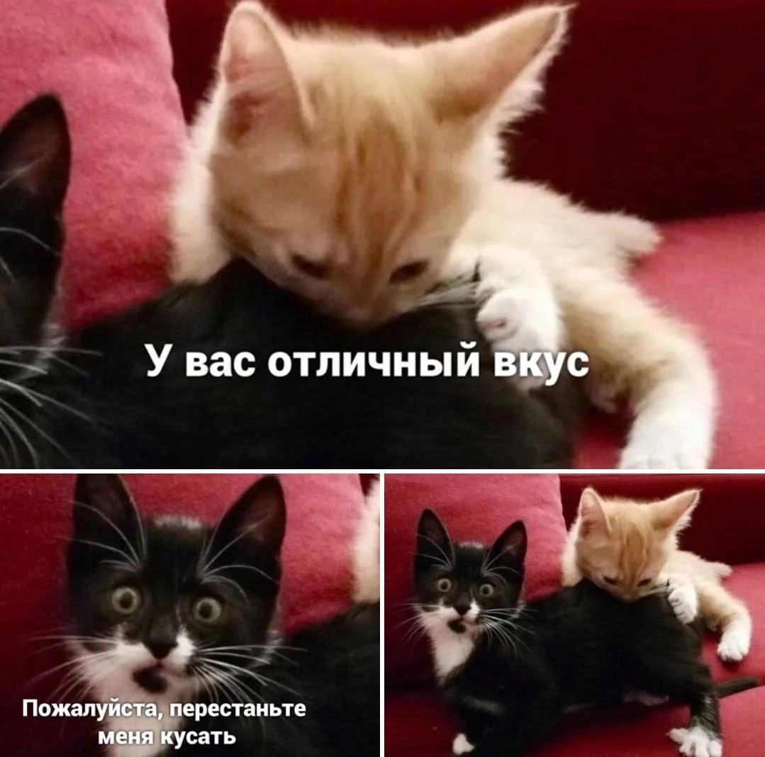 Доброе утро, друзья❤️
