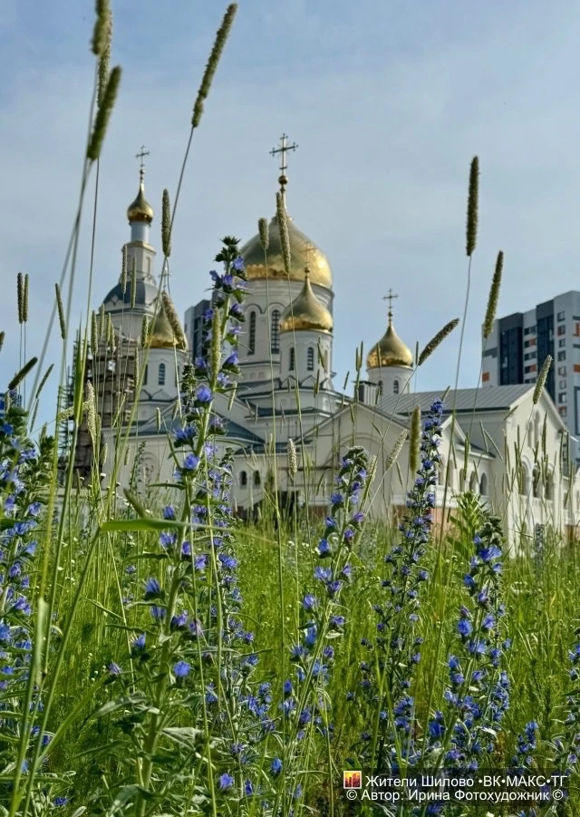 😍Минувший день в объективе Фотохудожника Ирины 📸

Храм в Шилово, крутой закат, самокаты и велосипе