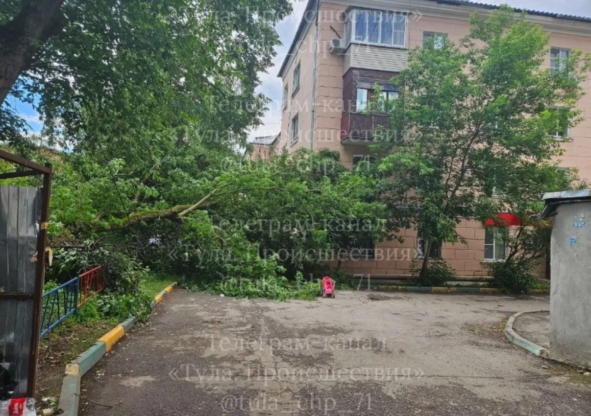 Дерево упало на машину, Кутузова 29.

НЕ ЗАБУДЬ ПОДПИСАТЬСЯ ⤵️