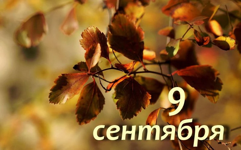 9 сентября 2026г. в регионе ожидается переменная облачность, без осадков.