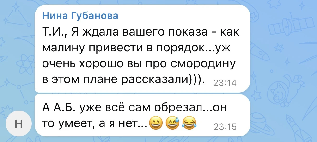 Вот тут немного засняла, когда Александр Борисович малину обрезал 🤗